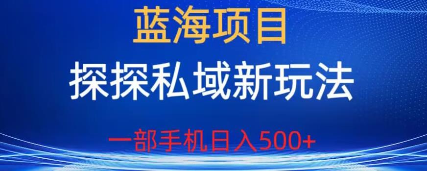 蓝海项目，探探私域新玩法，一部手机日入500+很轻松【揭秘】-鹤行社项目库