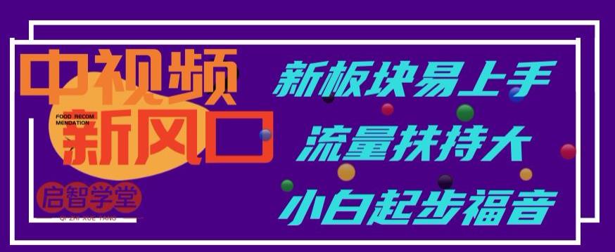 中视频新风口，新板块易上手，流量扶持大，小白起步福音【揭秘】-鹤行社项目库