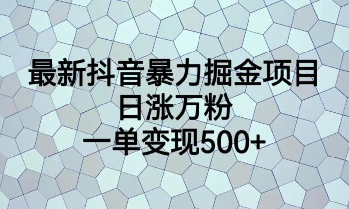 最新抖音暴力掘金项目，日涨万粉，一单变现500+【揭秘】-鹤行社项目库
