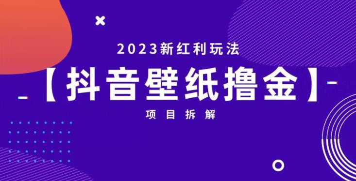 抖音壁纸小程序创作者撸金项目，2023新红利玩法【项目拆解】-鹤行社项目库
