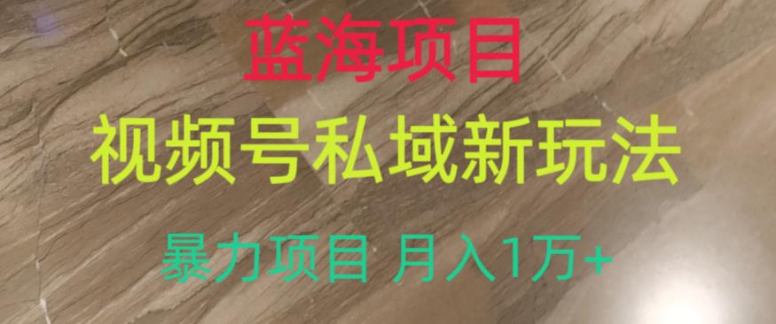 蓝海项目，视频号私域新玩法，暴力项目月入1万+【揭秘】-鹤行社项目库