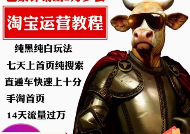 猫老师·淘系算法逆向解密，​纯黑纯白玩法，七天上首页纯搜索，手淘首页14天流量过万-鹤行社项目库