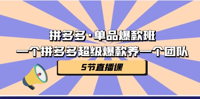 拼多多·单品爆款班，一个拼多多超级爆款养一个团队（5节直播课）-鹤行社项目库