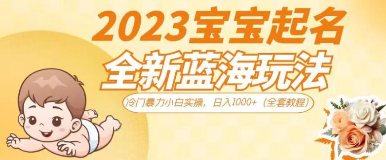 2023宝宝起名全新蓝海玩法，冷门暴力小白实操，日入1000+（全套教程）【揭秘】-鹤行社项目库