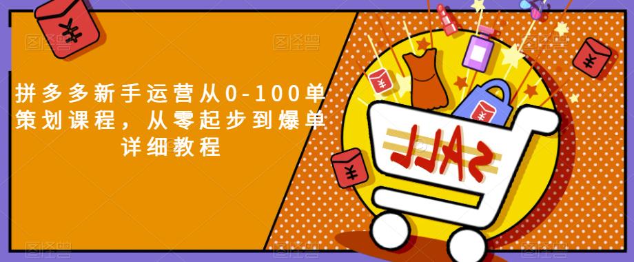 拼多多新手运营从0-100单策划课程，从零起步到爆单详细教程-鹤行社项目库