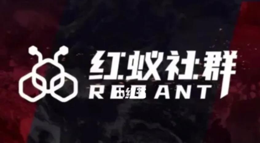 社群运营：红蚁社群【48节落地系统课程+2000人高端社群】-鹤行社项目库