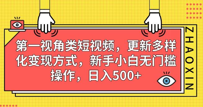第一视角类短视频，更新多样化变现方式，新手小白无门槛操作，日入500+【揭秘】-鹤行社项目库