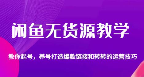 闲鱼无货源教学，教你起号，养号打造爆款链接以及转转的运营技巧-鹤行社项目库