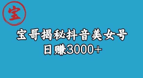 宝哥揭秘抖音美女号玩法，日赚3000+【揭秘】-鹤行社项目库