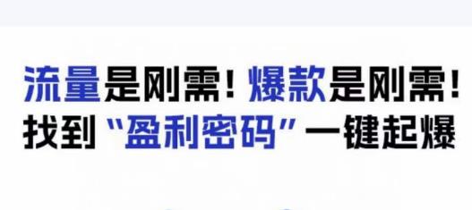 电商盈利精品课：6大盈利密码让产品更好卖，流量是刚需！爆款是刚需！找到”盈利密码”一键起爆-鹤行社项目库