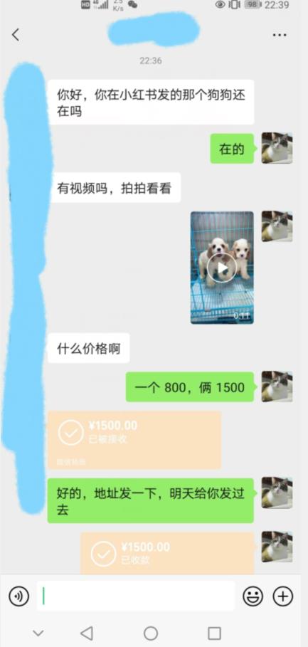 外边收费3980的同城萌宠项目，用最冷门的玩法冲击最热门的市场【揭秘】-鹤行社项目库