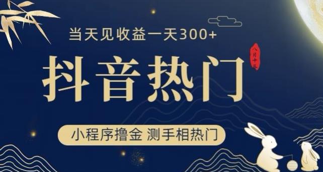 抖音最新小程序撸金，测手相上热门，当天见收益一小时变现300+【揭秘】-鹤行社项目库