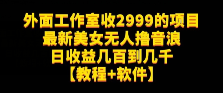 外面工作室收2999的项目最新美女无人撸音浪日收益几百到几千【教程+软件】（仅揭秘）-鹤行社项目库