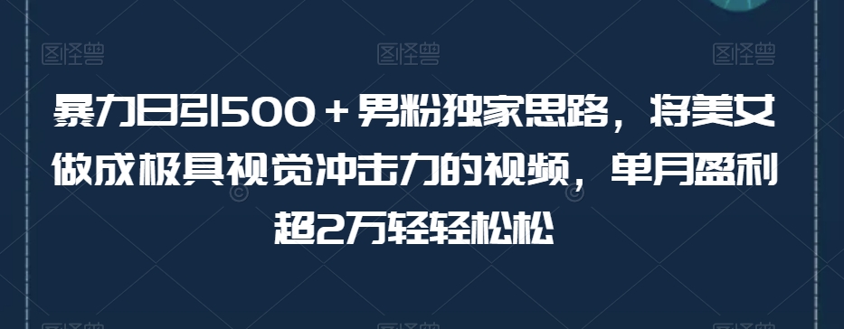 暴力日引500＋男粉独家思路，将美女做成极具视觉冲击力的视频，单月盈利超2万轻轻松松-鹤行社项目库