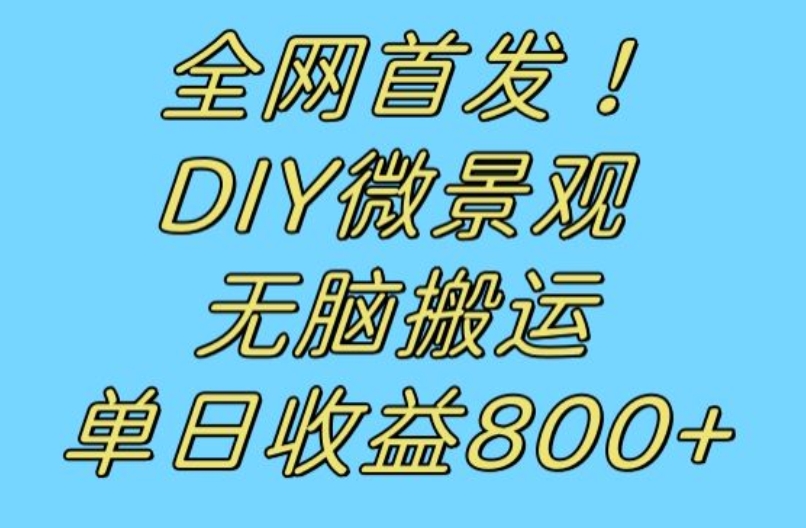 全网首发冷门赛道！DIY微景观，无脑搬运视频，日收益800+【揭秘】-鹤行社项目库