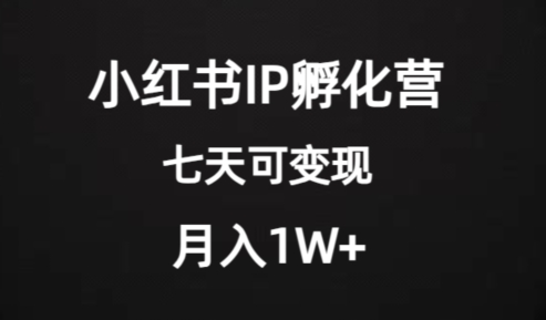 价值2000+的小红书IP孵化营项目，超级大蓝海，七天即可开始变现，稳定月入1W+-鹤行社项目库
