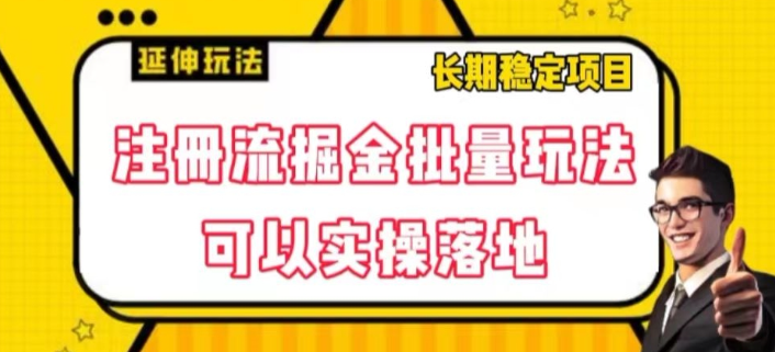 注册流掘金批量玩法，可以实操落地【揭秘】-鹤行社项目库
