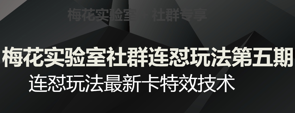 梅花实验室社群连怼玩法第五期，视频号连怼玩法最新卡特效技术-鹤行社项目库