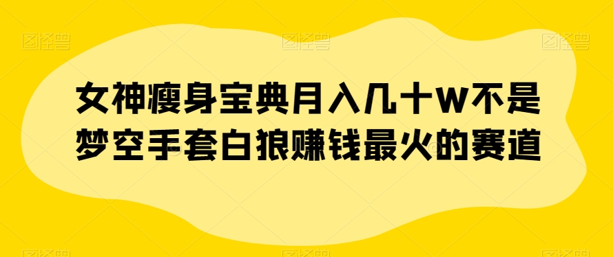 女神瘦身宝典月入几十W不是梦空手套白狼赚钱最火的赛道【揭秘】-鹤行社项目库