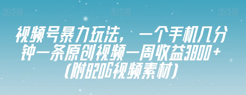 视频号暴力玩法，一个手机几分钟一条原创视频一周收益3800+（附820G视频素材）-鹤行社项目库