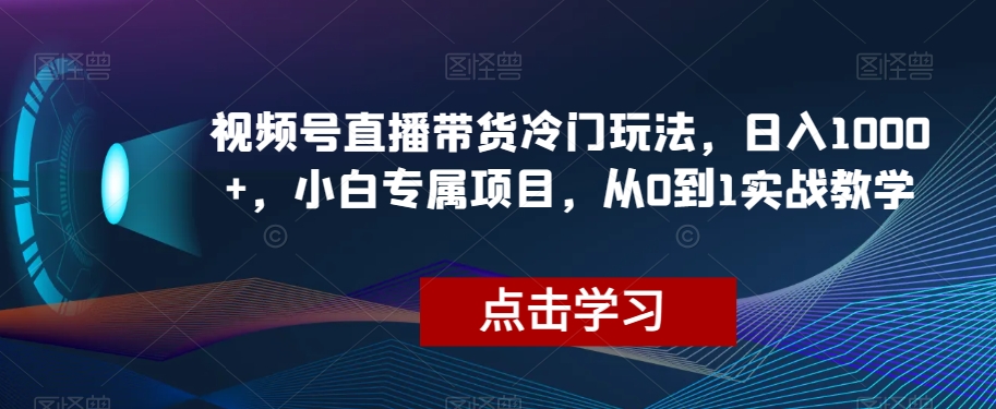 视频号直播带货冷门玩法，日入1000+，小白专属项目，从0到1实战教学【揭秘】-鹤行社项目库