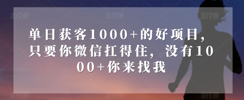 单日获客1000+的好项目，只要你微信扛得住，没有1000+你来找我【揭秘】-鹤行社项目库