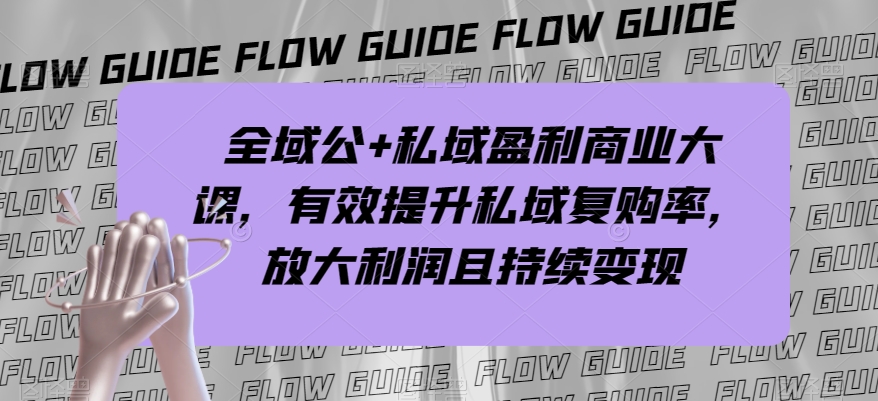 全域公+私域盈利商业大课，有效提升私域复购率，放大利润且持续变现-鹤行社项目库