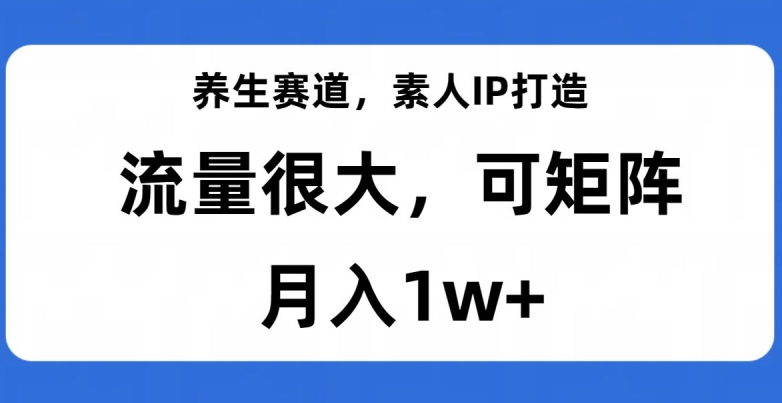 养生赛道，素人IP打造，流量很大，可矩阵，月入1w+【揭秘】-鹤行社项目库