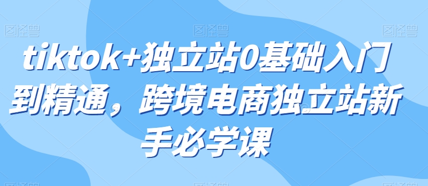 tiktok+独立站0基础入门到精通，跨境电商独立站新手必学课-鹤行社项目库