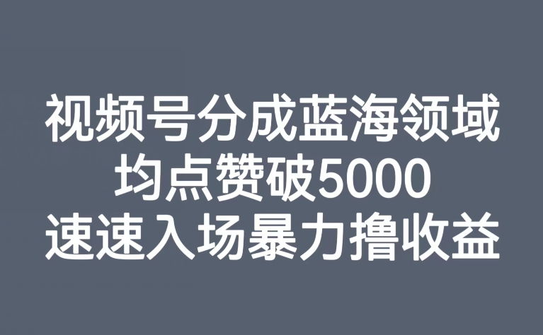 视频号分成蓝海领域，均点赞破5000，速速入场暴力撸收益-鹤行社项目库
