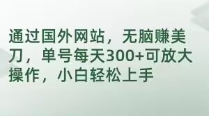 通过国外网站，无脑赚美刀，单号每天300+可放大操作，小白轻松上手【揭秘】-鹤行社项目库
