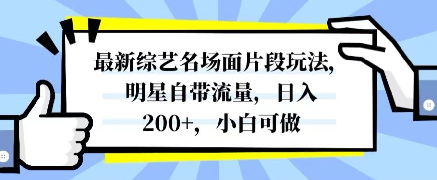 最新综艺名场面片段玩法，明星自带流量，日入200+，小白可做【揭秘】-鹤行社项目库