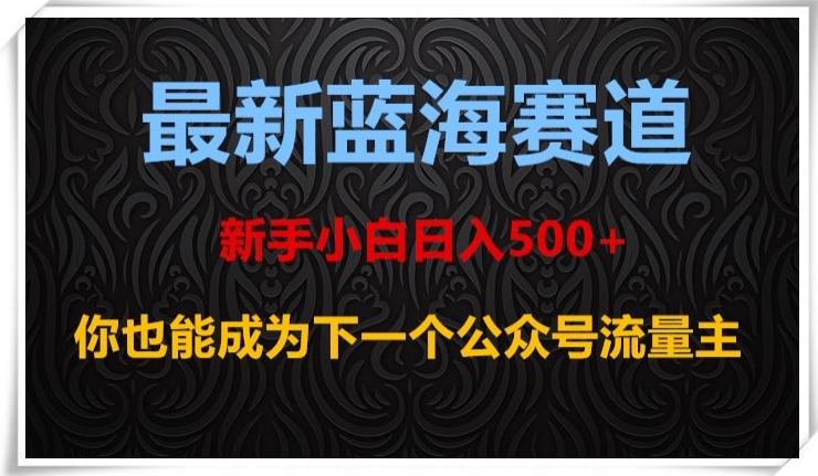 最新蓝海赛道，新手小白日入500+，你也能成为下一个公众号流量主【揭秘】-鹤行社项目库