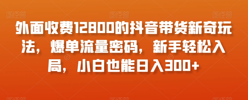 外面收费12800的抖音带货新奇玩法，爆单流量密码，新手轻松入局，小白也能日入300+【揭秘】-鹤行社项目库