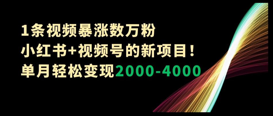 1条视频暴涨数万粉–小红书+视频号的新项目！单月轻松变现2000-4000【揭秘】-鹤行社项目库
