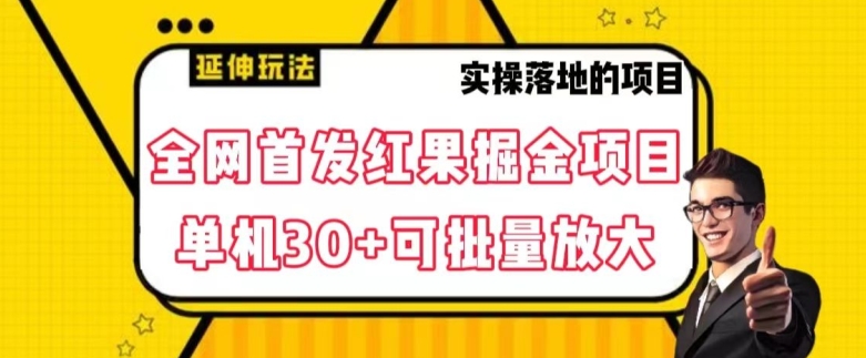全网首发红果免费短剧掘金项目，单机30+可批量放大【揭秘】-鹤行社项目库