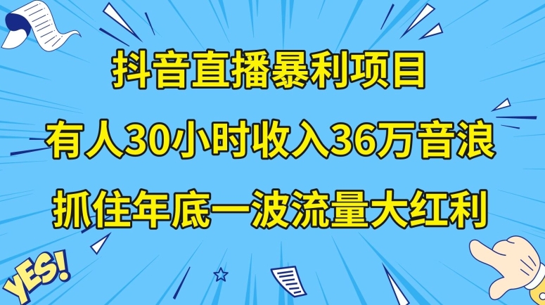 抖音直播暴利项目，有人30小时收入36万音浪，公司宣传片年会视频制作，抓住年底一波流量大红利【揭秘】-鹤行社项目库