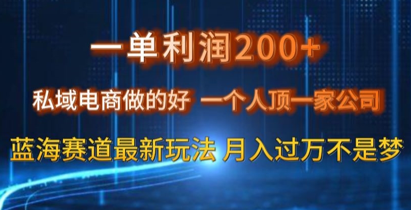 一单利润200私域电商做的好，一个人顶一家公司蓝海赛道最新玩法【揭秘】-鹤行社项目库