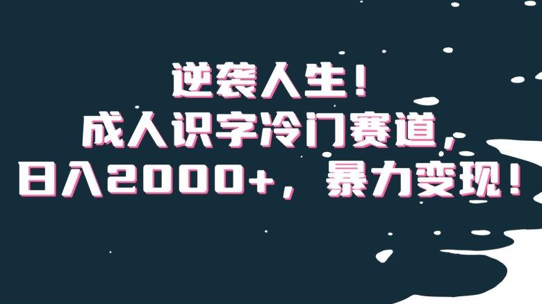 逆袭人生！成人识字冷门赛道，日入2000+，暴力变现！【揭秘】-鹤行社项目库