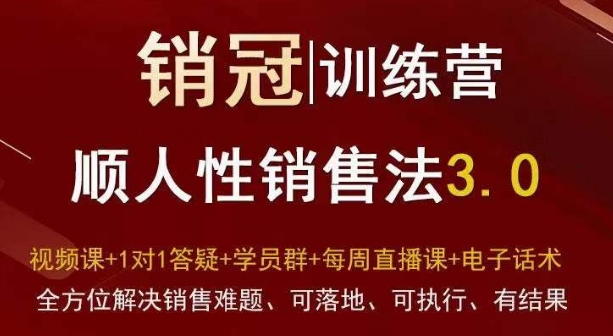 爆款！销冠训练营3.0之顺人性销售法，全方位解决销售难题、可落地、可执行、有结果-鹤行社项目库