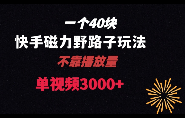 一个40块，快手联合美团磁力新玩法，无视机制野路子玩法，单视频收益4位数【揭秘】-鹤行社项目库