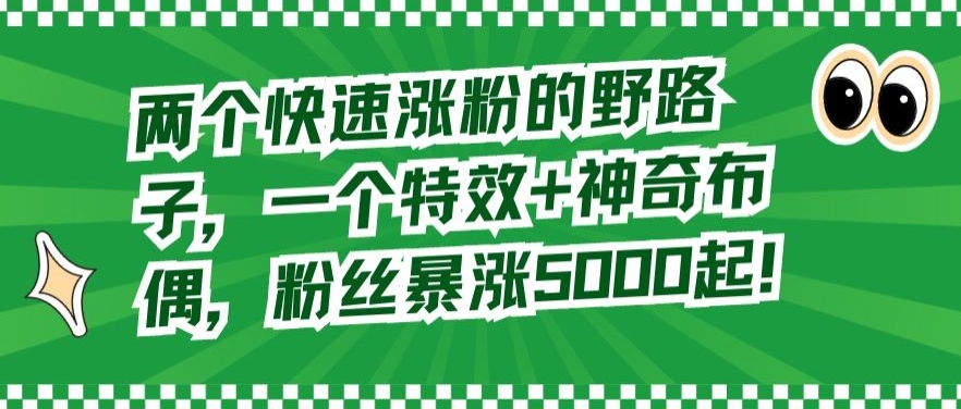 两个快速涨粉的野路子，一个特效+神奇布偶，粉丝暴涨5000起【揭秘】-鹤行社项目库