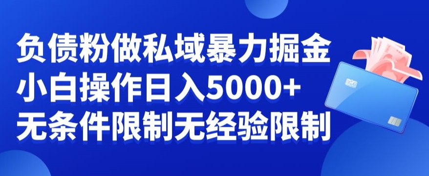 负债粉私域暴力掘金，小白操作入5000，无经验限制，无条件限制【揭秘】-鹤行社项目库