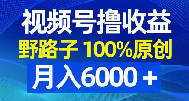 视频号野路子撸收益，100%原创，条条爆款，月入6000＋【揭秘】-鹤行社项目库