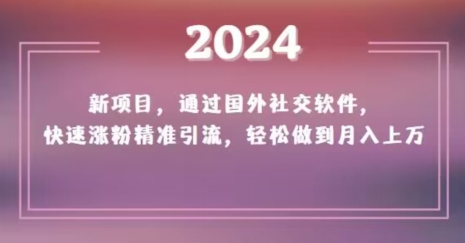 2024新项目，通过国外社交软件，快速涨粉精准引流，轻松做到月入上万【揭秘】-鹤行社项目库