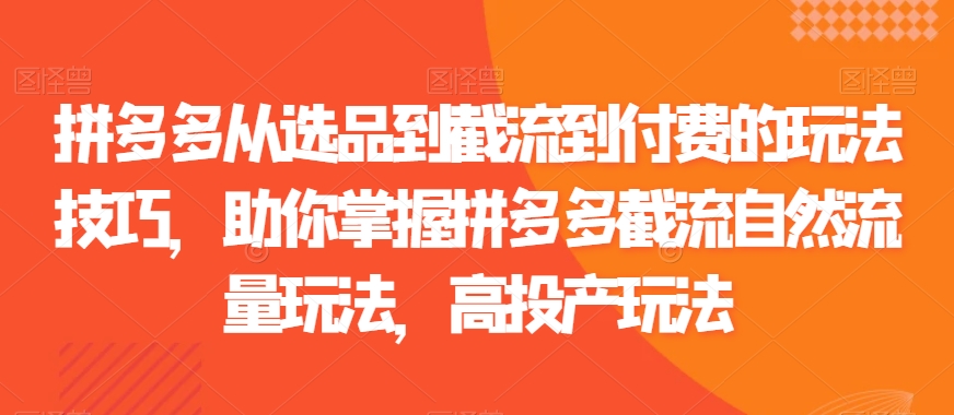 拼多多从选品到截流到付费的玩法技巧，助你掌握拼多多截流自然流量玩法，高投产玩法-鹤行社项目库