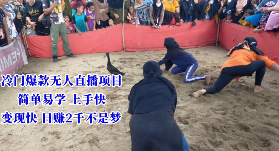 冷门爆款无人直播项目，简单易学上手快，变现快日赚2千不是梦【揭秘】-鹤行社项目库