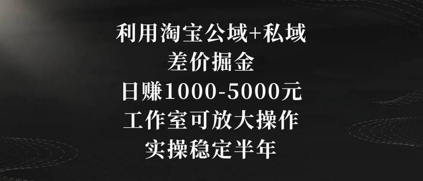 利用淘宝公域+私域差价掘金，日赚1000-5000元，工作室可放大操作，实操稳定半年【揭秘】-鹤行社项目库