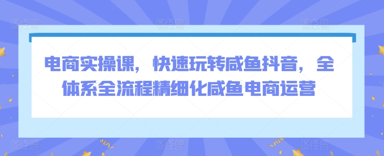 电商实操课，快速玩转咸鱼抖音，全体系全流程精细化咸鱼电商运营-鹤行社项目库