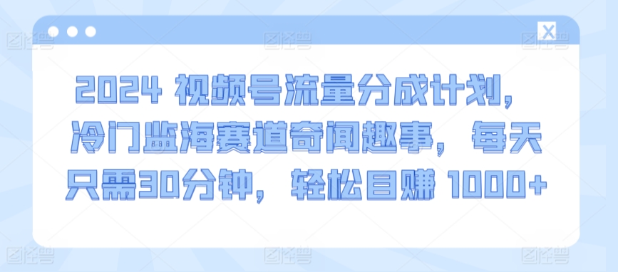 2024视频号流量分成计划，冷门监海赛道奇闻趣事，每天只需30分钟，轻松目赚 1000+【揭秘】-鹤行社项目库